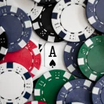 资深玩家教你三招降服老虎机-白菜网站-白菜作业-白菜论坛