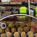 18吨泰国榴莲空运抵贵阳-白菜网站-白菜作业-白菜论坛